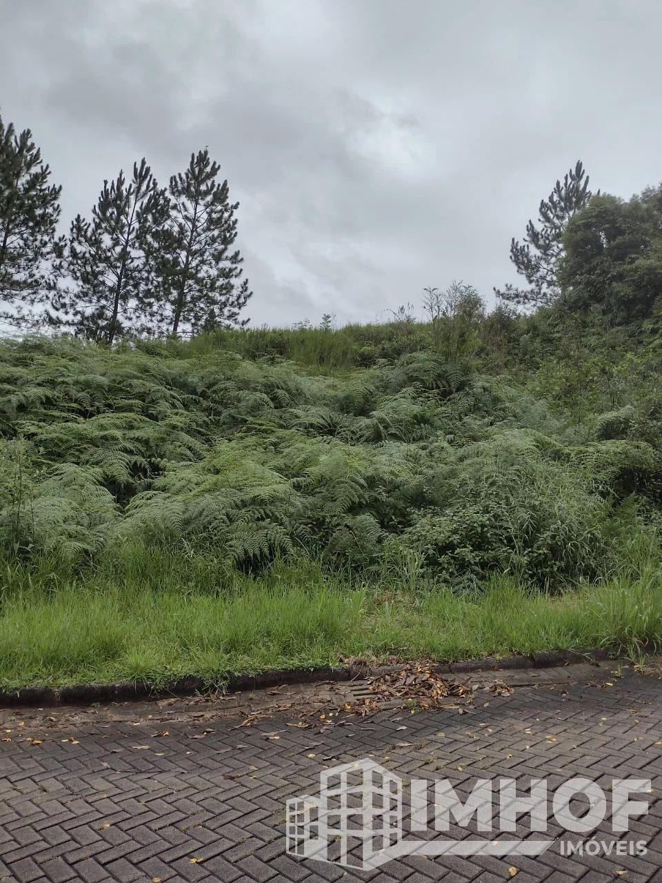 Terreno, 452,20m², à venda em Guabiruba, Souza Cruz - Imhof Imóveis