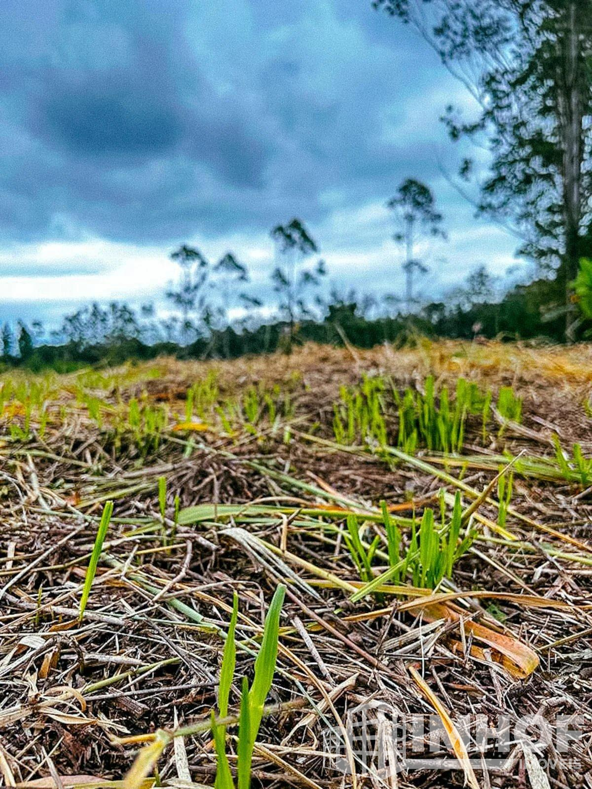 Terreno, à venda em Brusque, São Pedro